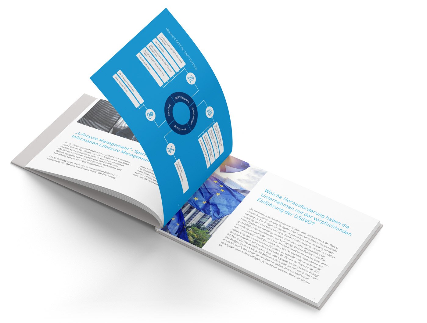 Whitepaper_SAP_ILM_Mockup_DE_Pages Whitepaper_SAP_ILM_Mockup_DE_Pages