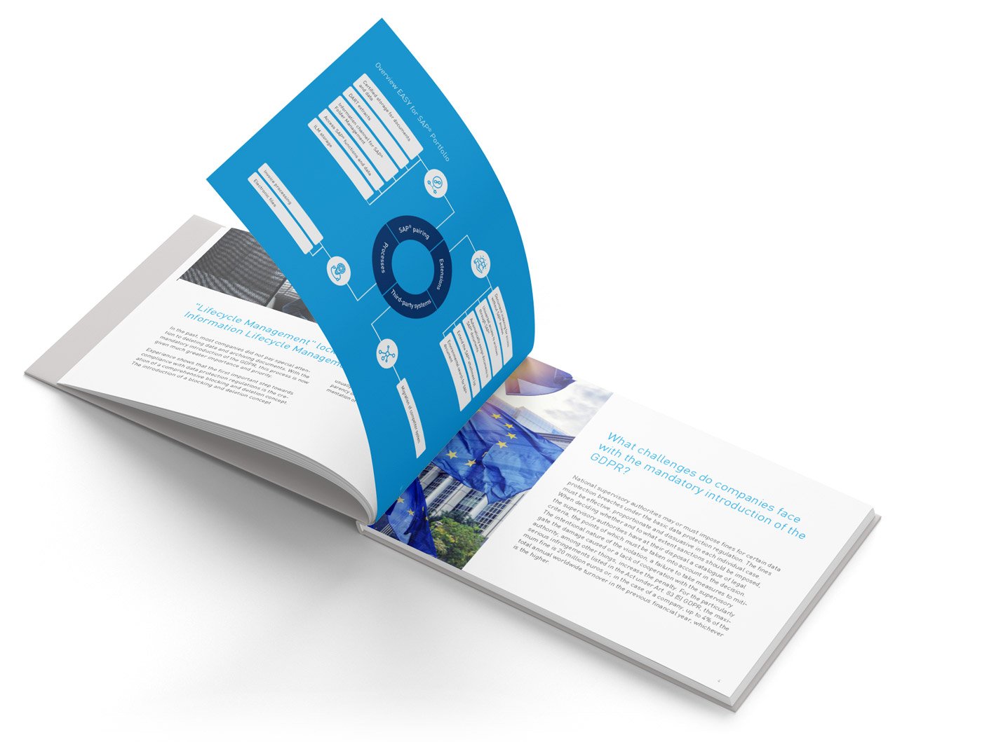 Whitepaper_SAP_ILM_Mockup_EN_Pages Whitepaper_SAP_ILM_Mockup_EN_Pages